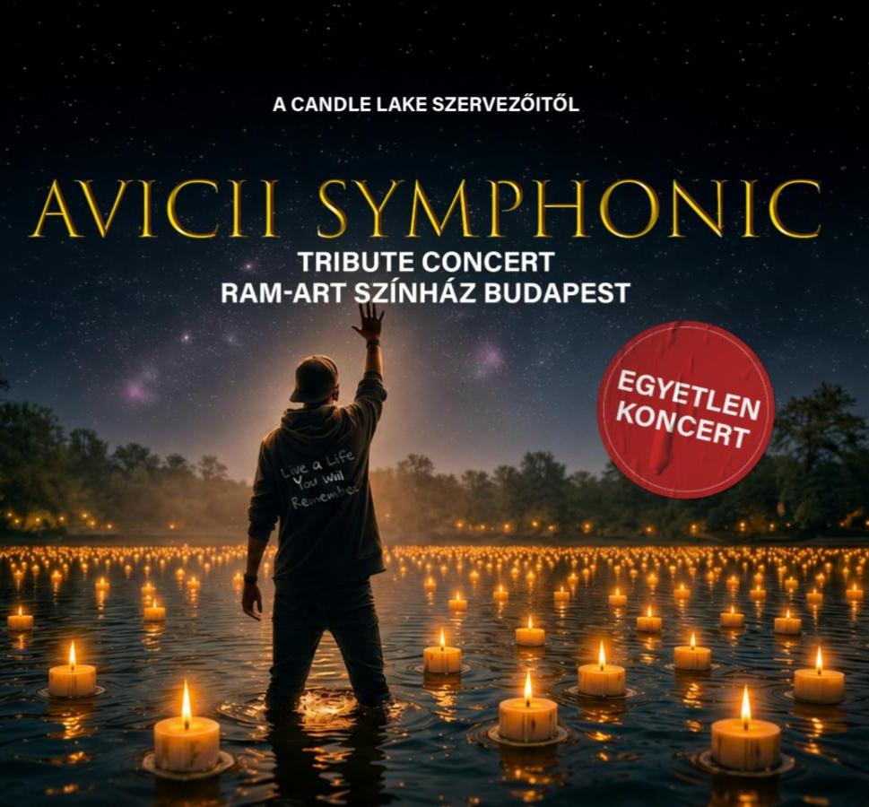 AVICII SYMPHONIC TRIBUTE CONCERT by Candle Lake
